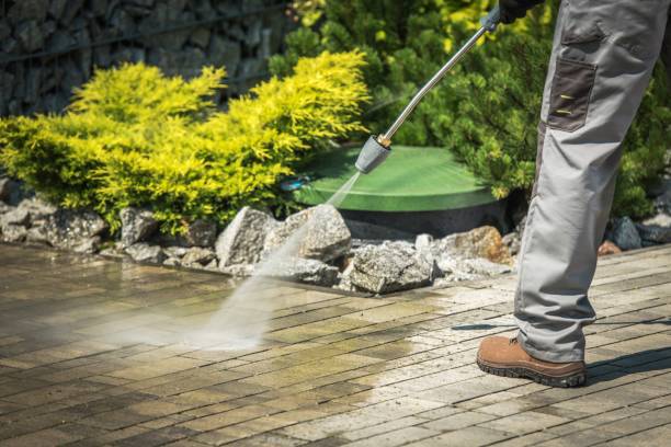 Boat and Dock Cleaning in Fulton, MS